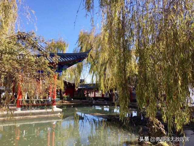 云南丽江市玉龙纳西族自治县赏花评价好的农家乐排名前三有哪些,