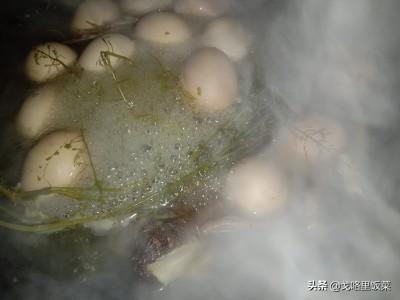 3月3荠菜煮鸡蛋(三月初三用地菜煮鸡蛋吃有什么好处？)