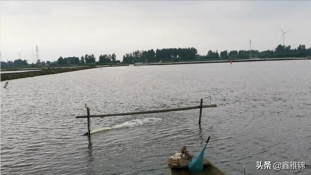 水产养殖的技术风险有哪些 水产养殖有哪些风险？