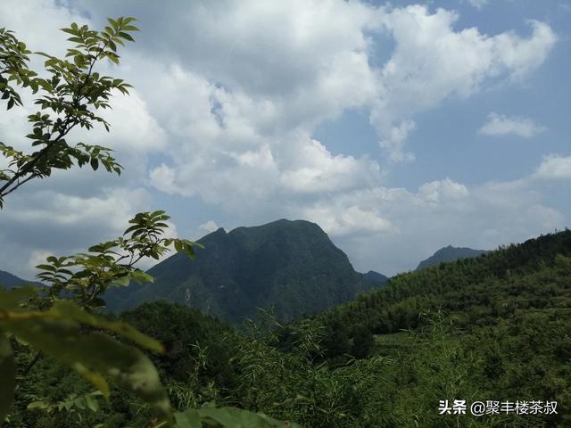 丽水必去十大景点介绍