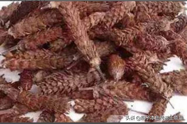 火锅冬天怎么吃不会胖吗(图7)