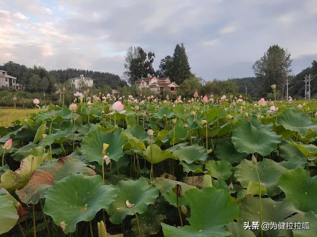 不开心怎么办？：不开心怎么办