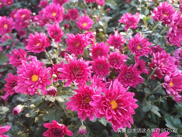 不现实的女人没好下场(图7)