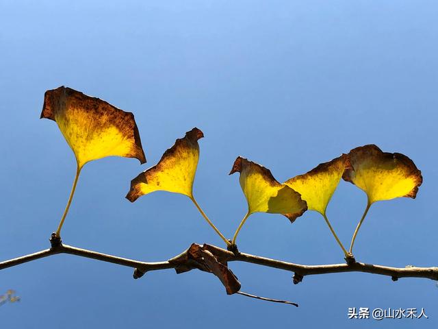 摄影穿着与背景如何搭配(图12)