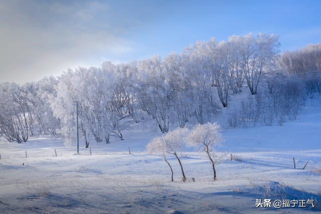 大学生旅游消费调查背景 推荐怎么写,大学生旅游消费调查背景 推荐怎么写啊