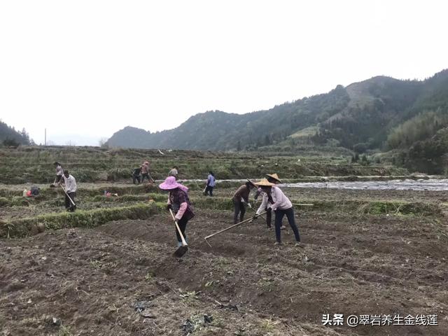 养殖鸡鸭前景怎样