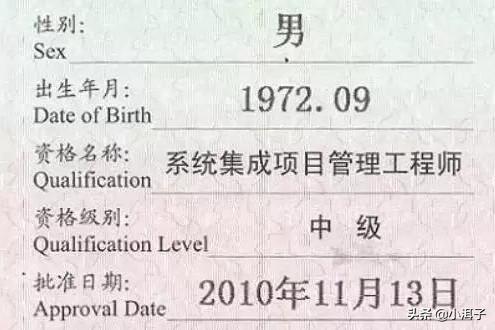 什么是集成(什么是集成项目)