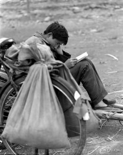 读书静心的诗句（表达静心读书的成语）