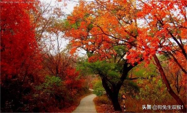 资兴旅游穿搭新疆， 资兴旅游网