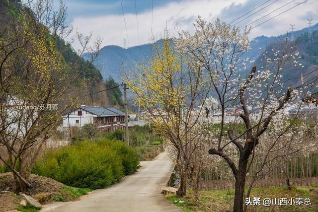 威海越野自驾游路线，威海越野自驾游路线图