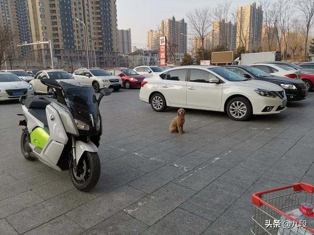 同志电驴下载基地-