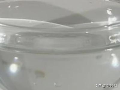 水果罐头-水果罐头的制作方法
