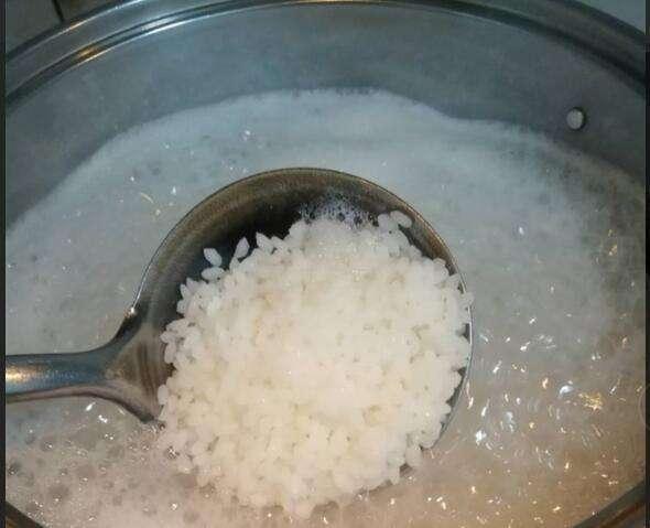 米饭煮多久米饭煮多久能熟