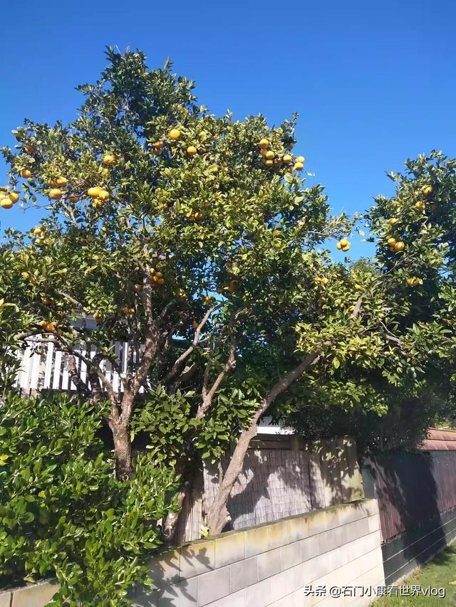 秋天新西兰旅游穿搭， 秋天新西兰旅游穿搭图片