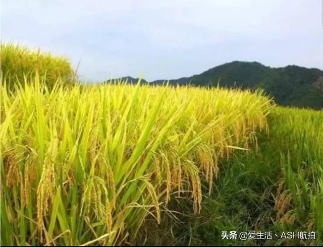 漳州婚纱摄影，