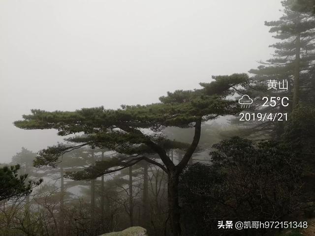 [黄山风景图片]黄山特色风景？