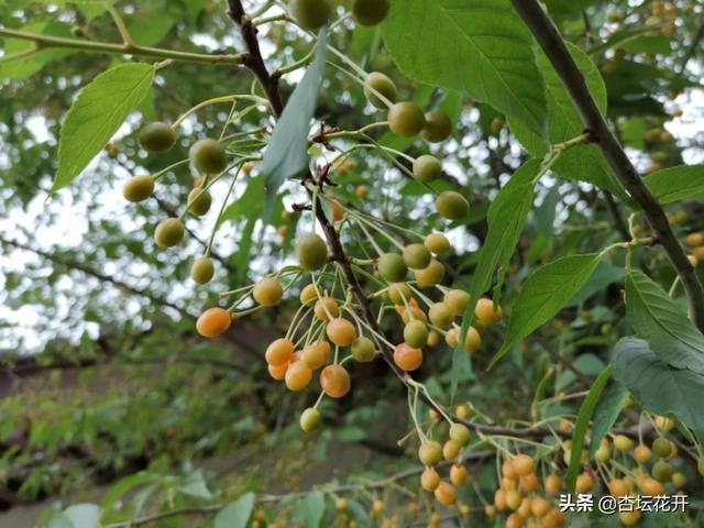 赢找出16个字是怎么找 赢找出16个字-第1张图片-随然AIR主题