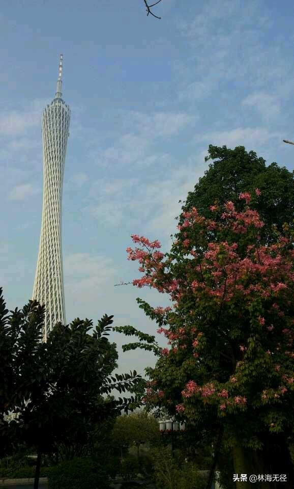 广州市是一个什么城市