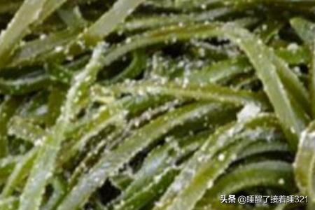 海带如何保存(海带如何保存时间长)