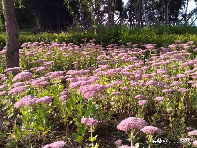 讨厌老师怎么改善心理(图2)