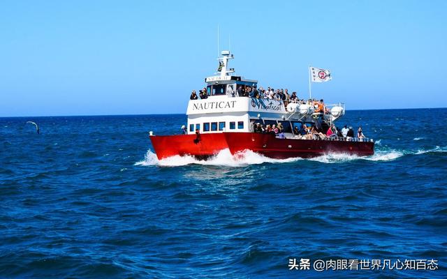 开普敦桌山景点门票价格， 开普敦桌山图片