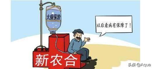 农合有大病医保报销吗 农村合作医疗大病保险起付标准？