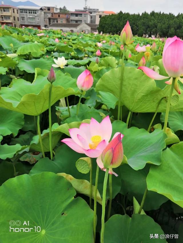 梅州哪里好玩景点门票价格， 梅州哪里好玩景点门票价格最低