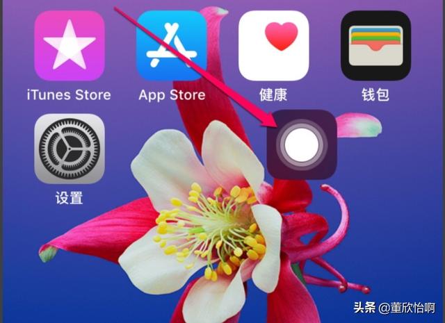 苹果手机快捷键小圆点怎么设置(图2)
