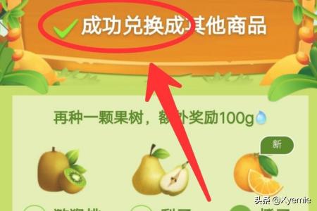 中班丰收的水果教案艺术(图5)