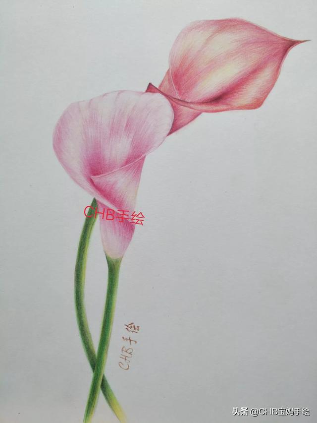 素描绘画技巧和基础知识,素描绘画技巧和基础知识有哪些