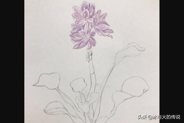 花卉简笔虎?画虎简笔画 可爱!