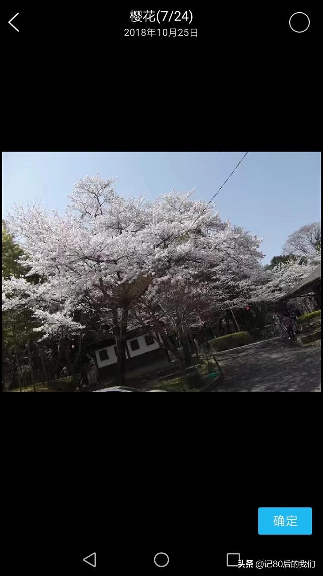 上饶到西塘高铁路线，上饶到石塘