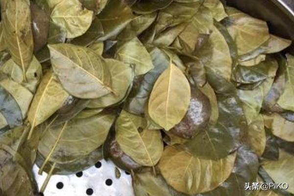 湛江必吃美食攻略（湛江十大特色美食小吃攻略？）