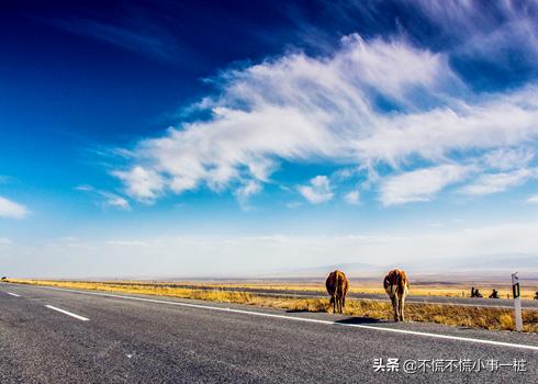 辽宁省和山东省哪个富裕< ~ >辽宁省和山东省哪个富裕些