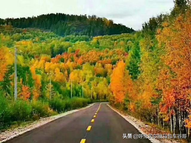 半拉山自驾游路线，半拉山自驾游路线攻略