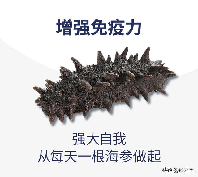 海参有什么特点和功效(图10)