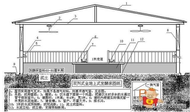 农村小型生态猪养殖场如何建-农村小型生态猪养殖场如何建设