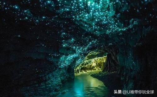 花园种植奥克兰花好吗图片,花园种植奥克兰花好吗图片大全