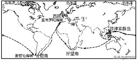 海外生活种茄子，在国外茄子的隐含意思