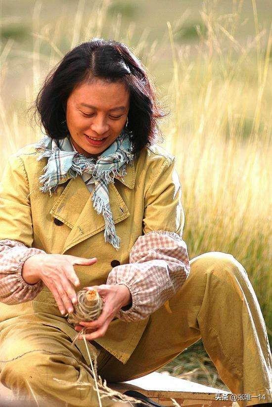 戈壁母亲电视剧(电视剧《戈壁母亲》怎么样?) - 网络杂谈 - 资源蟹