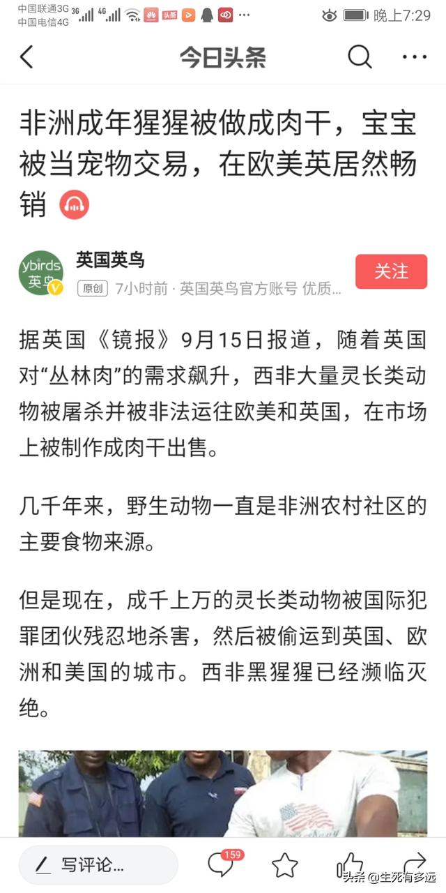 为什么欧美人都那么爱宠物狗呢