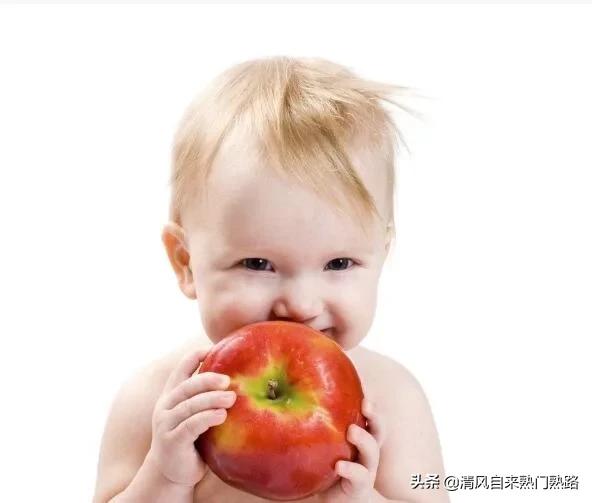 幼儿烹调方案 食疗有哪些-幼儿烹调方案 食疗有哪些内容