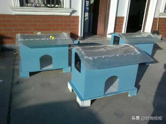 寵物狗不想養了怎么辦?寵物狗不想養了怎么辦小妙招!