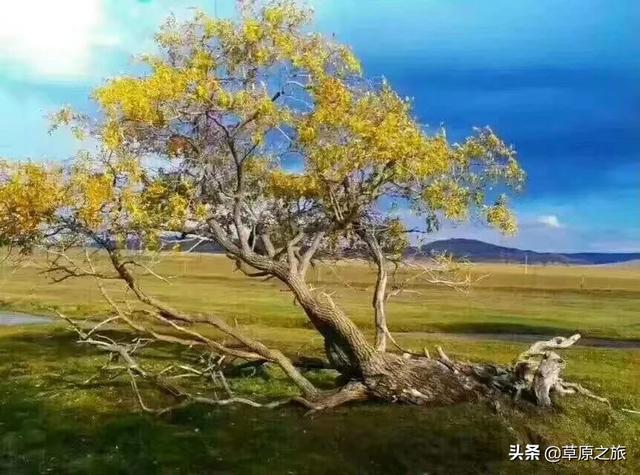 温岭小众旅游攻略路线， 温岭小众旅游攻略路线图