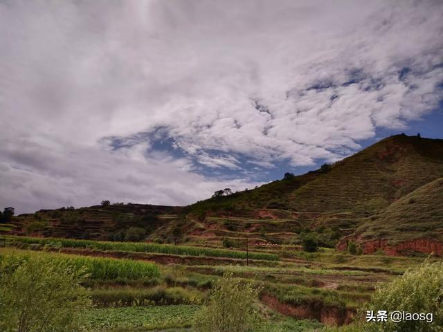 定西市岷县纸飞机账号购买服务