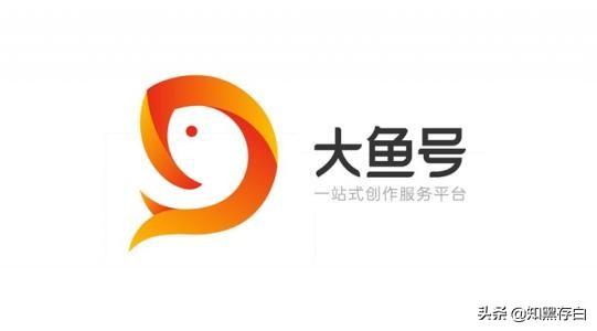 搭建网站的应用
