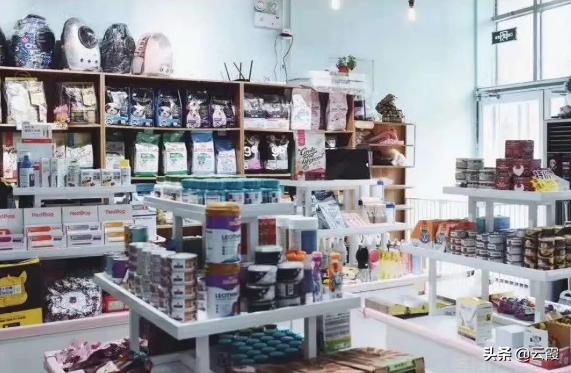 開寵物店要什么?開寵物店要什么證!