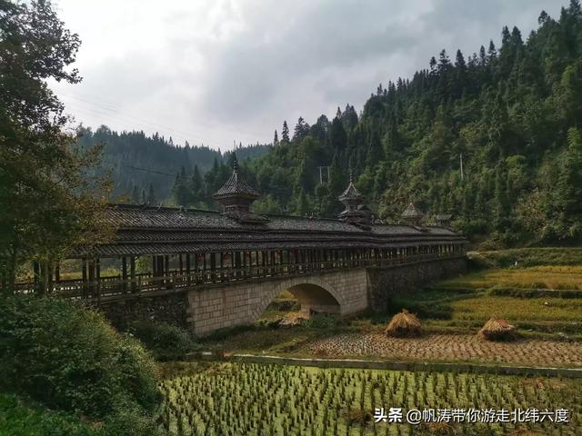 田园乐农家院-田园乐农家院图片大全