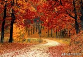 英语感叹句what和how的用法 英语感叹句what和how的用法如何转变 