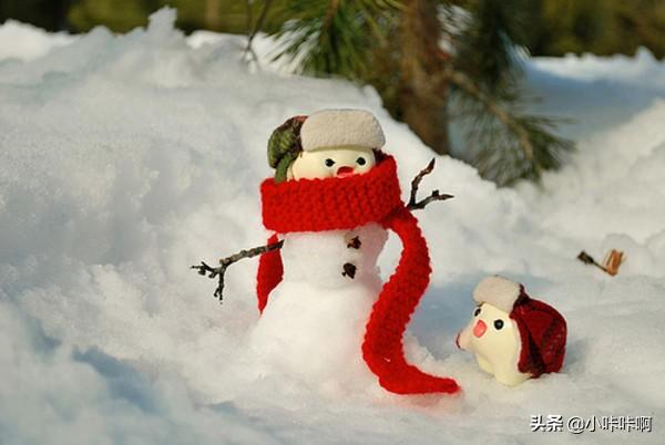 描写冬天的词语100个（描写冬天的词浯）